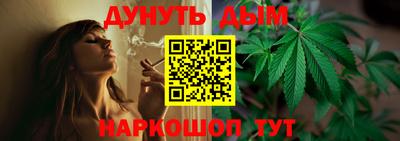 a pvp Камышлов