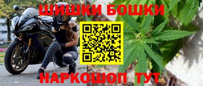 a pvp Камышлов
