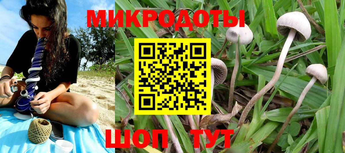 Псилоцибиновые грибы прущие грибы  Вход с VPN  Медногорск 